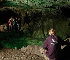 NOCTALIS Welt der Fledermäuse